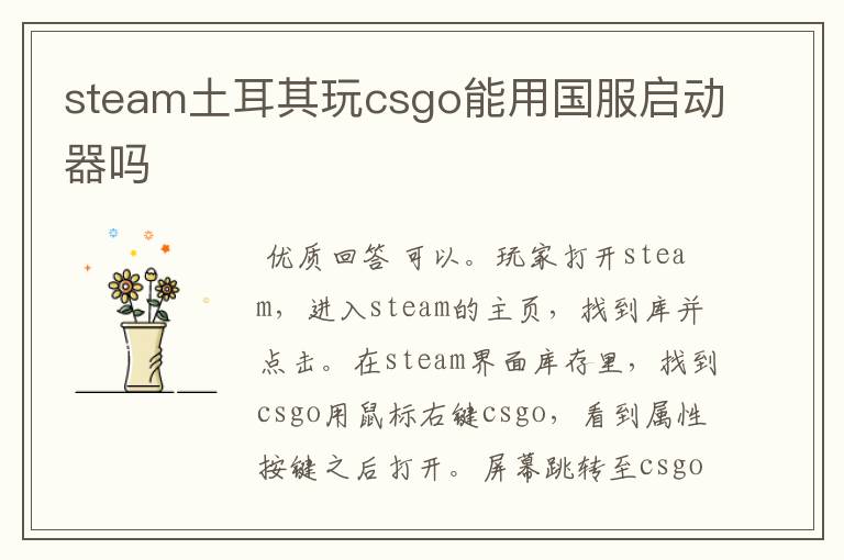 steam土耳其玩csgo能用国服启动器吗