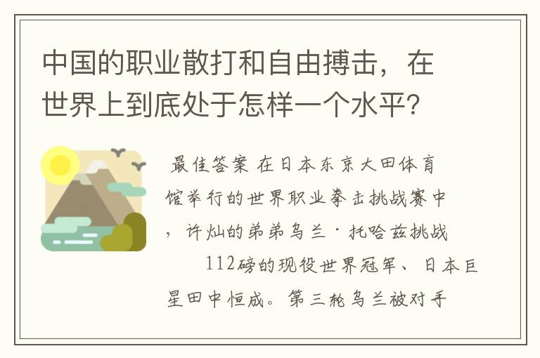 中国的职业散打和自由搏击，在世界上到底处于怎样一个水平？