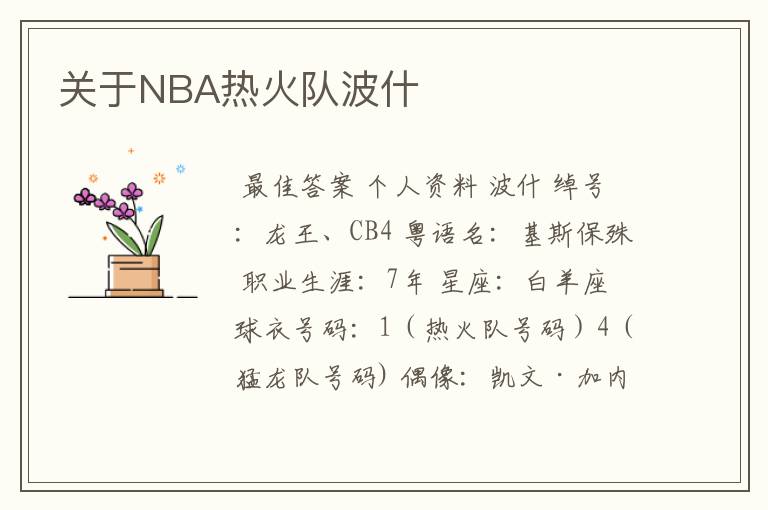 关于NBA热火队波什