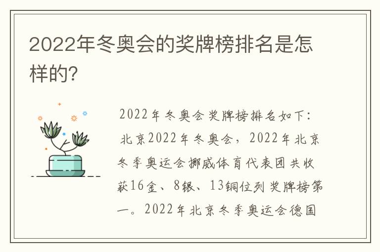 2022年冬奥会的奖牌榜排名是怎样的？