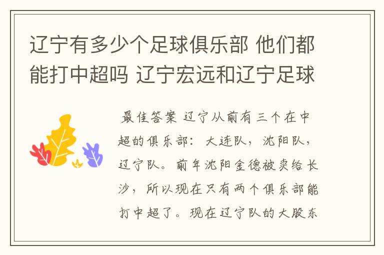 辽宁有多少个足球俱乐部 他们都能打中超吗 辽宁宏远和辽宁足球俱乐部是什么啊