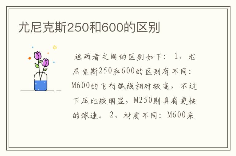 尤尼克斯250和600的区别