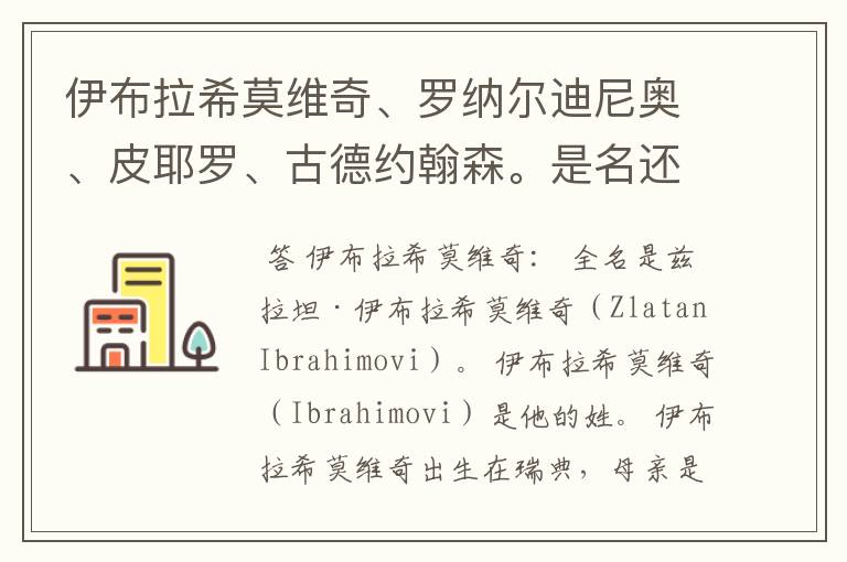 伊布拉希莫维奇、罗纳尔迪尼奥、皮耶罗、古德约翰森。是名还是姓？