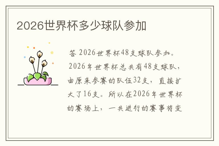 2026世界杯多少球队参加