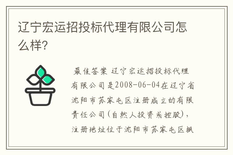 辽宁宏运招投标代理有限公司怎么样？