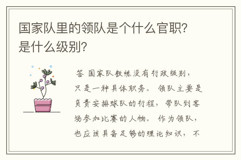 国家队里的领队是个什么官职？是什么级别？