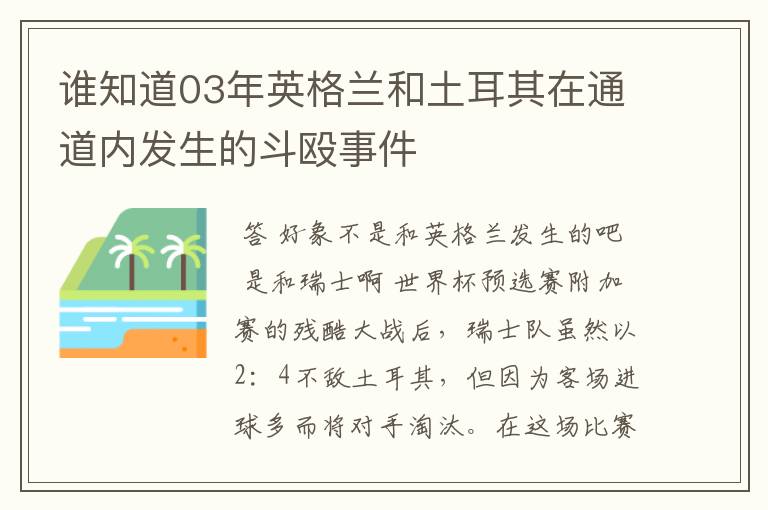 谁知道03年英格兰和土耳其在通道内发生的斗殴事件