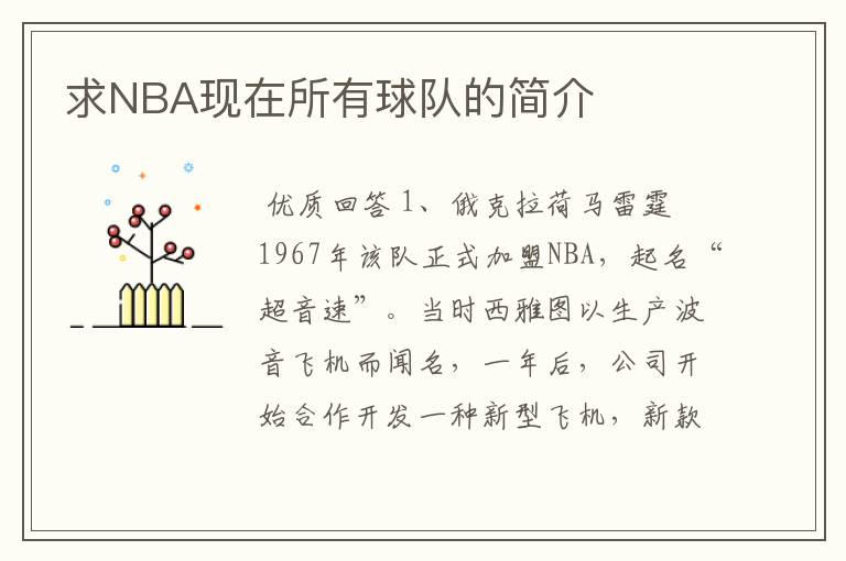 求NBA现在所有球队的简介