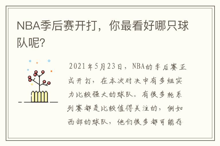 NBA季后赛开打，你最看好哪只球队呢？