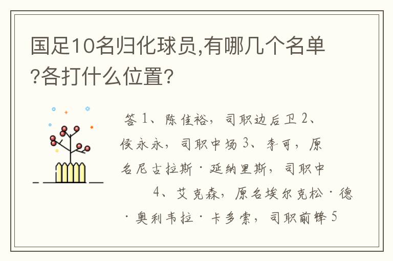 国足10名归化球员,有哪几个名单?各打什么位置?