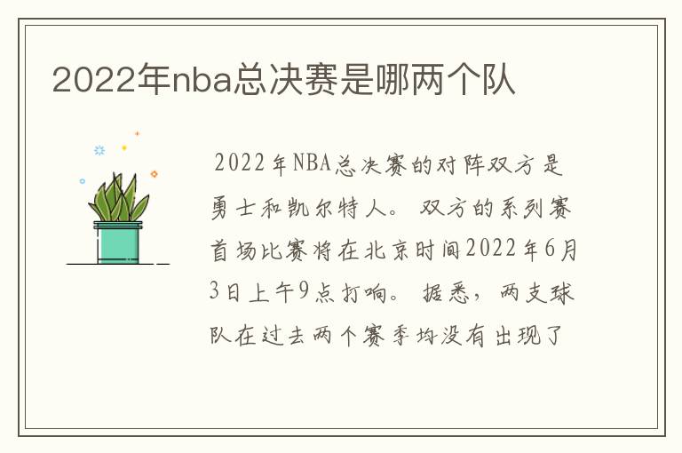 2022年nba总决赛是哪两个队