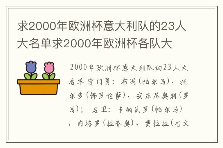 求2000年欧洲杯意大利队的23人大名单求2000年欧洲杯各队大