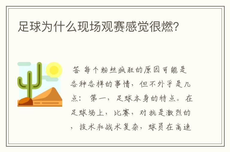 足球为什么现场观赛感觉很燃？