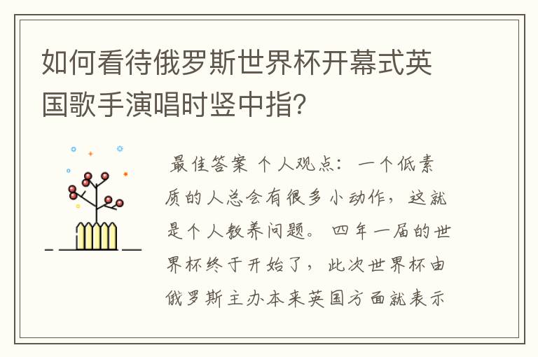 如何看待俄罗斯世界杯开幕式英国歌手演唱时竖中指？