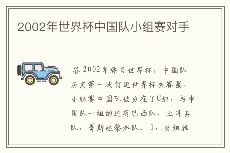 2002年世界杯中国队小组赛对手