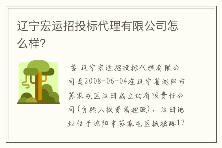 辽宁宏运招投标代理有限公司怎么样？