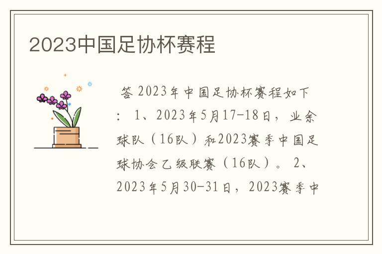 2023中国足协杯赛程