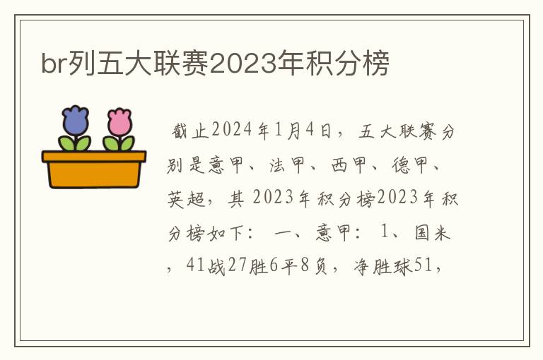 br列五大联赛2023年积分榜