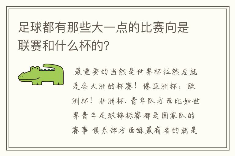 足球都有那些大一点的比赛向是联赛和什么杯的？