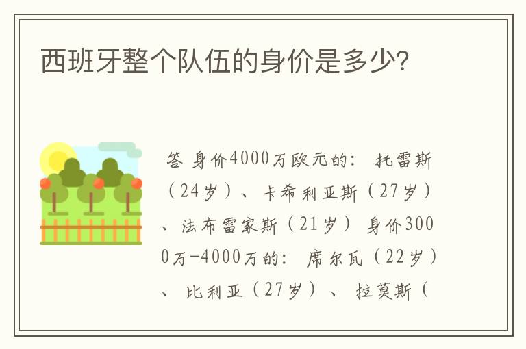 西班牙整个队伍的身价是多少？