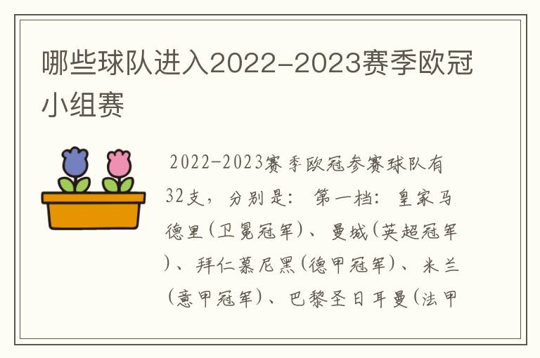 哪些球队进入2022-2023赛季欧冠小组赛