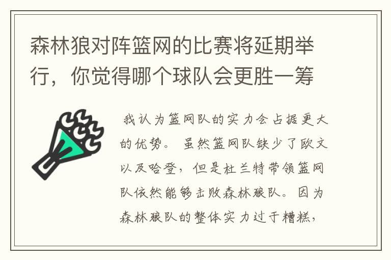 森林狼对阵篮网的比赛将延期举行，你觉得哪个球队会更胜一筹？