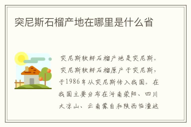 突尼斯石榴产地在哪里是什么省