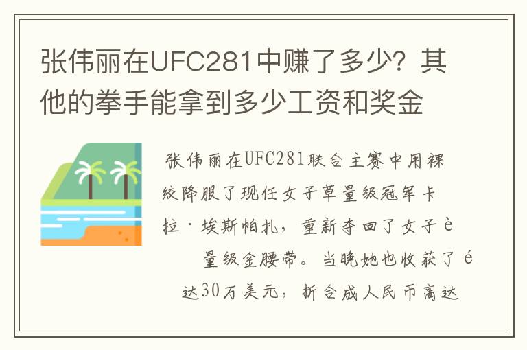 张伟丽在UFC281中赚了多少？其他的拳手能拿到多少工资和奖金？