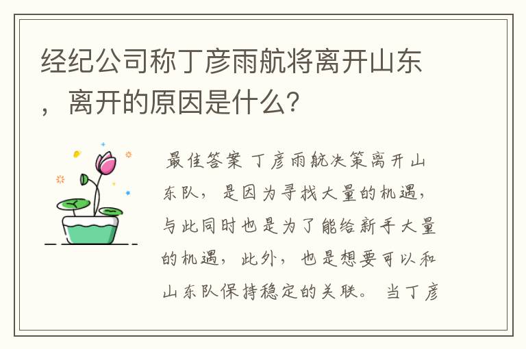 经纪公司称丁彦雨航将离开山东，离开的原因是什么？