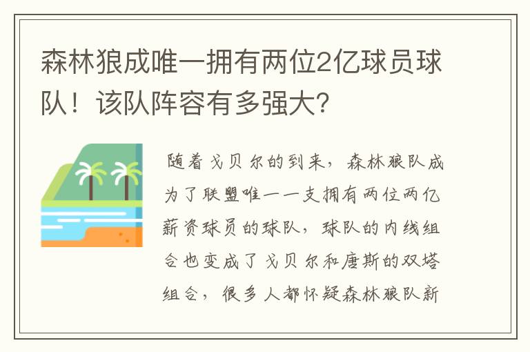 森林狼成唯一拥有两位2亿球员球队！该队阵容有多强大？