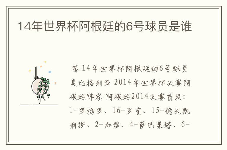 14年世界杯阿根廷的6号球员是谁