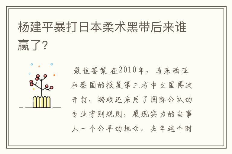 杨建平暴打日本柔术黑带后来谁赢了?