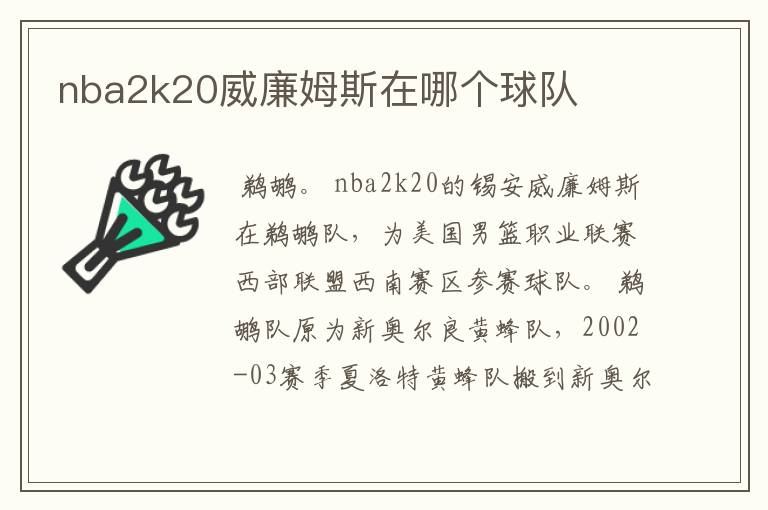 nba2k20威廉姆斯在哪个球队