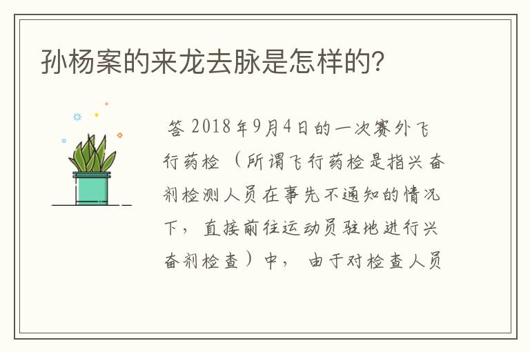 孙杨案的来龙去脉是怎样的？