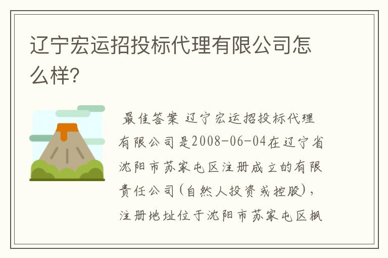 辽宁宏运招投标代理有限公司怎么样？