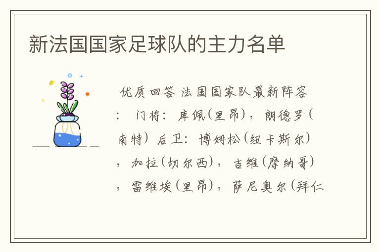 新法国国家足球队的主力名单