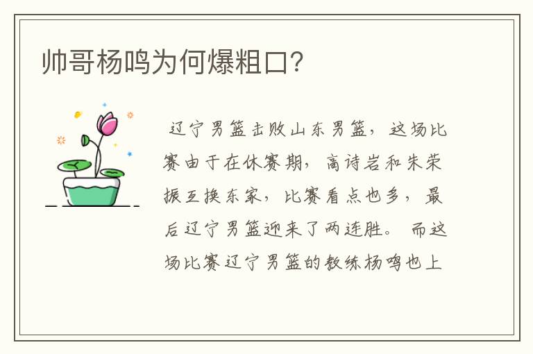 帅哥杨鸣为何爆粗口？