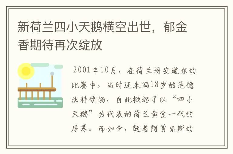 新荷兰四小天鹅横空出世，郁金香期待再次绽放