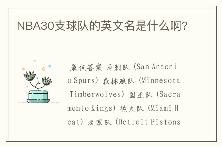 NBA30支球队的英文名是什么啊?