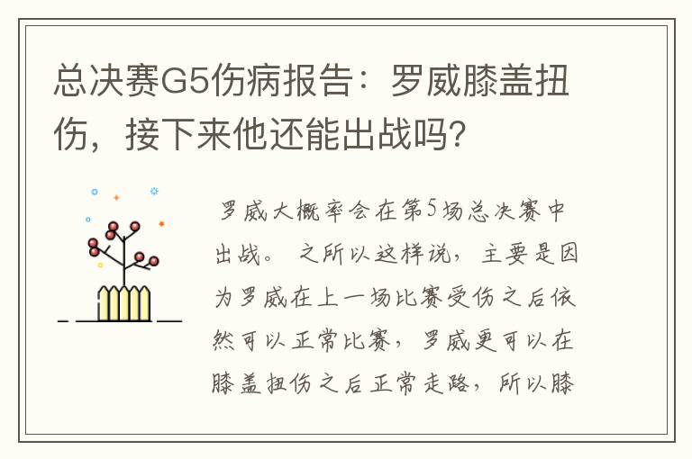 总决赛G5伤病报告：罗威膝盖扭伤，接下来他还能出战吗？