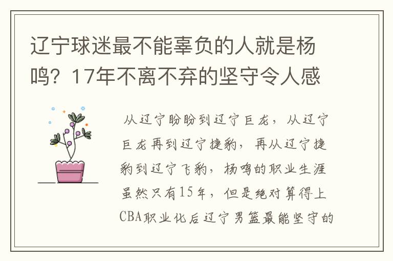 辽宁球迷最不能辜负的人就是杨鸣？17年不离不弃的坚守令人感动