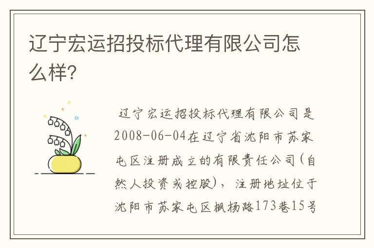 辽宁宏运招投标代理有限公司怎么样？