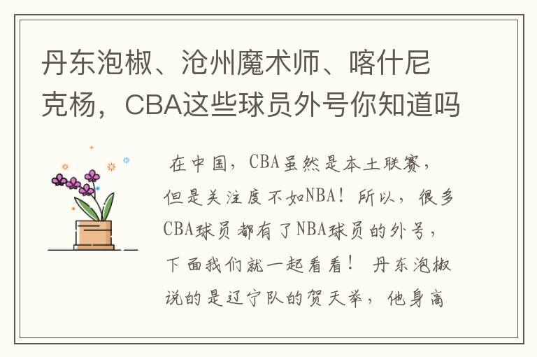 丹东泡椒、沧州魔术师、喀什尼克杨，CBA这些球员外号你知道吗 ？