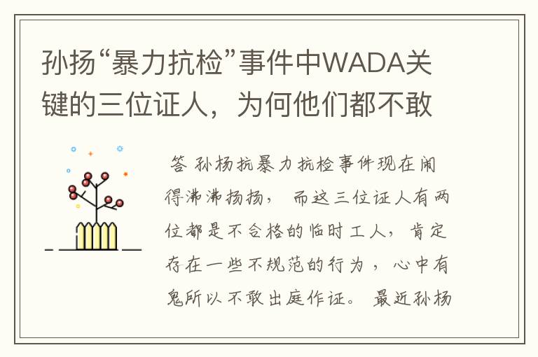 孙扬“暴力抗检”事件中WADA关键的三位证人，为何他们都不敢当庭对质？