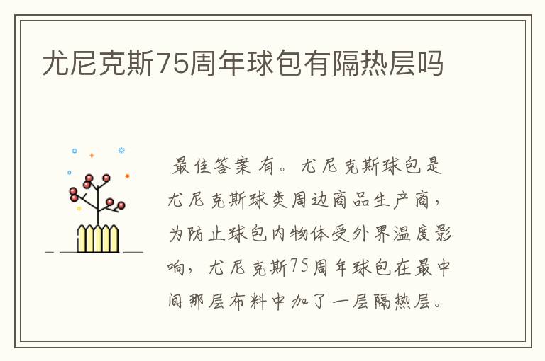 尤尼克斯75周年球包有隔热层吗