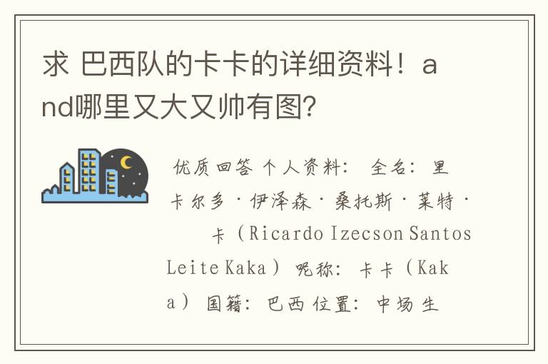 求 巴西队的卡卡的详细资料！and哪里又大又帅有图？