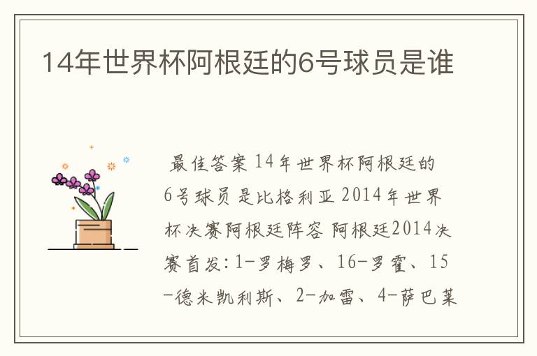 14年世界杯阿根廷的6号球员是谁