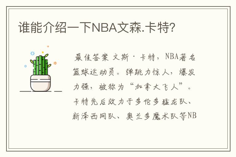 谁能介绍一下NBA文森.卡特？