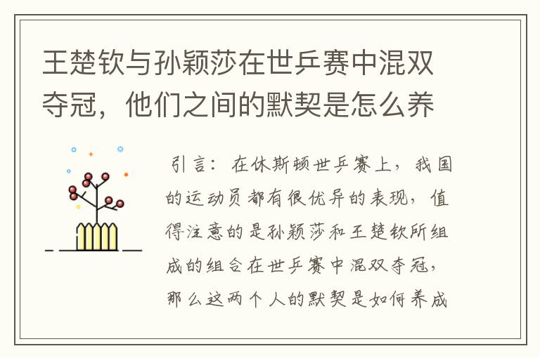 王楚钦与孙颖莎在世乒赛中混双夺冠，他们之间的默契是怎么养成的？