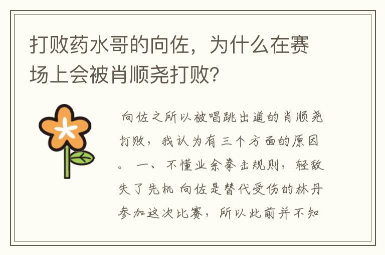 打败药水哥的向佐，为什么在赛场上会被肖顺尧打败？